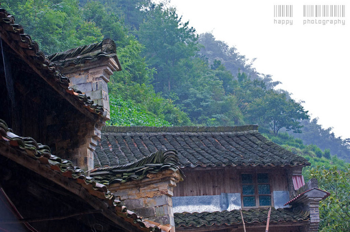 新昌南山村图片