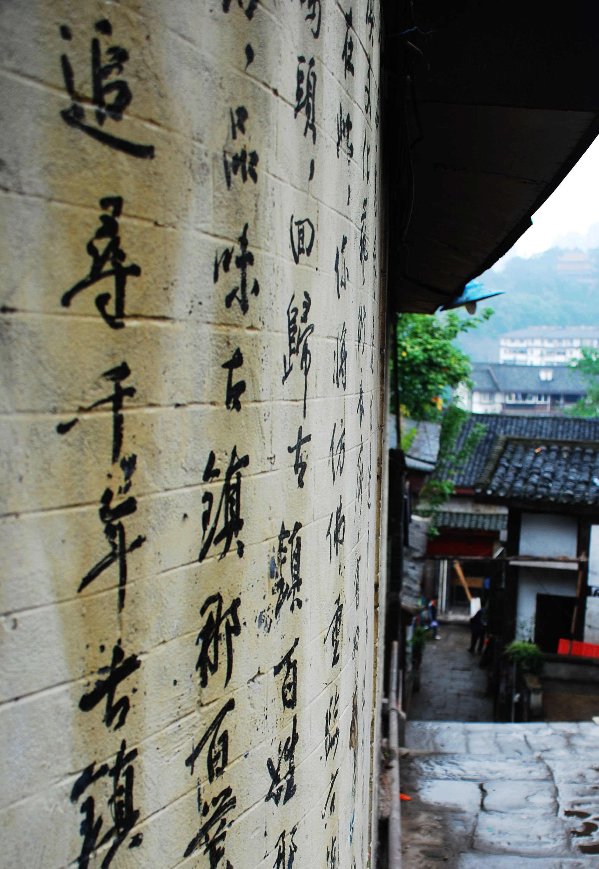 自贡市中考满分作文-遗忘的角落