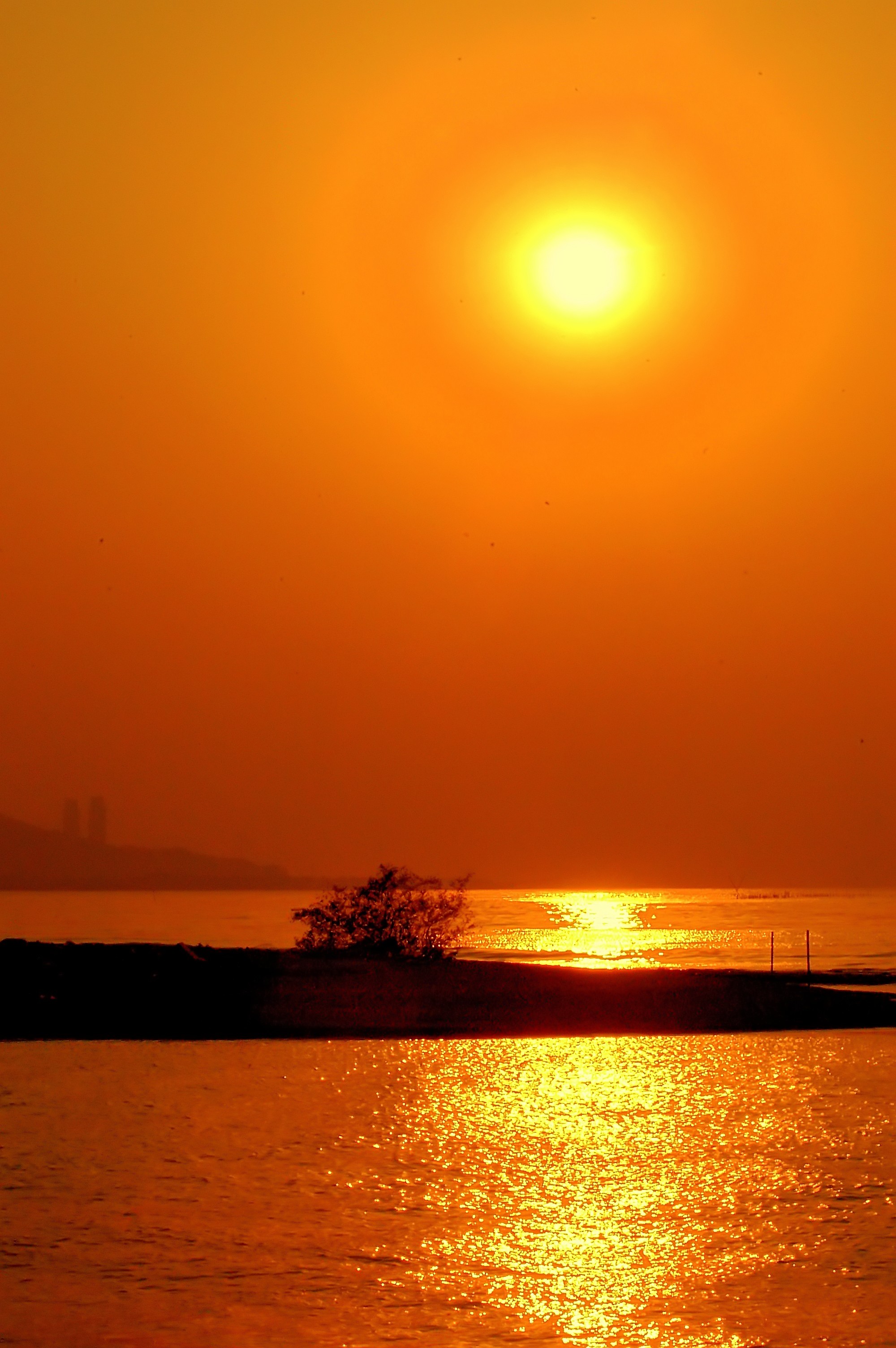 【夕阳醉了摄影图片】海滩生活摄影_fatwo_太平洋电脑网摄影部落