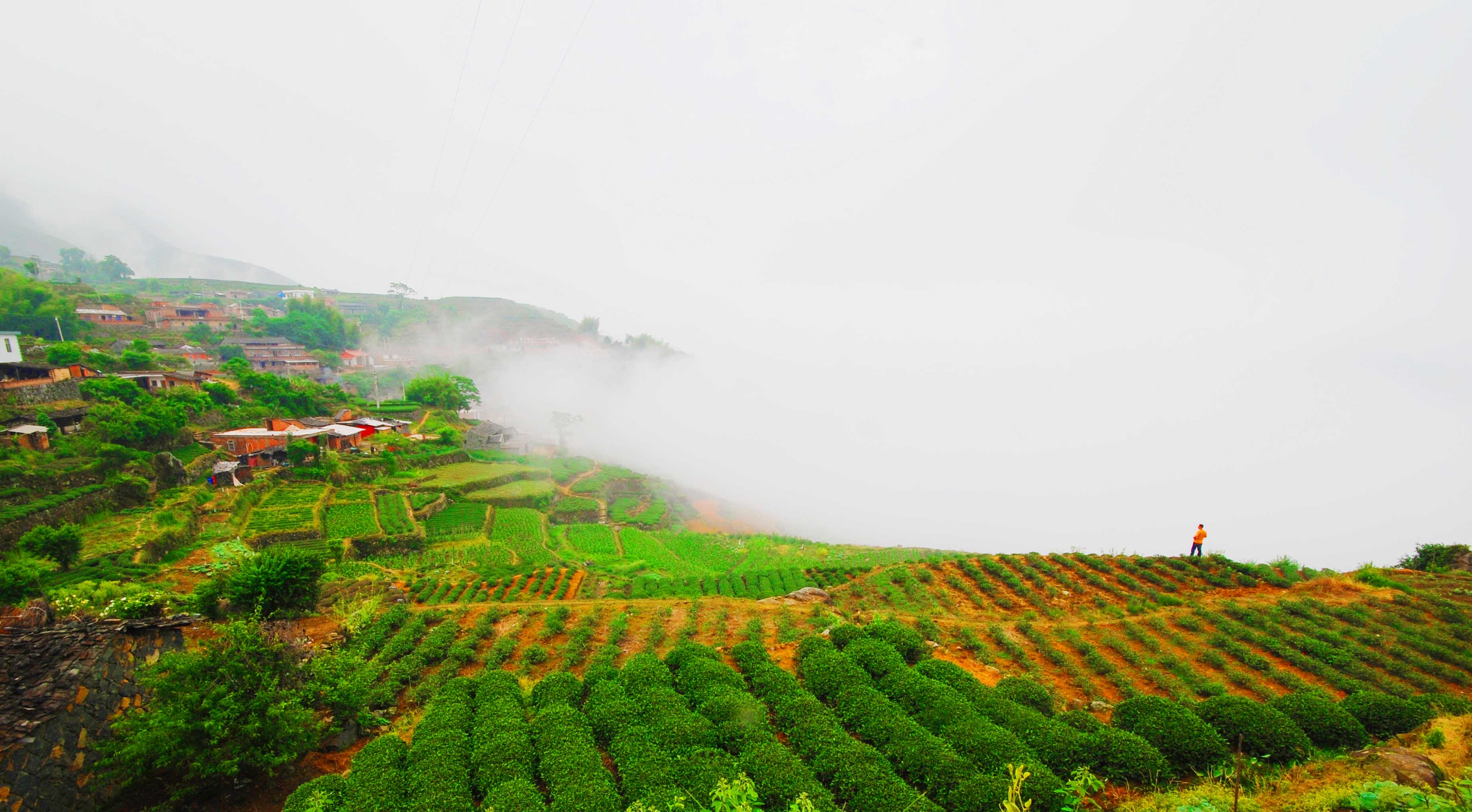 山水茶鄉