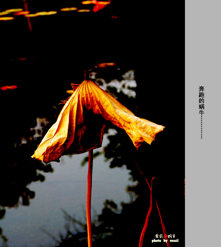 ֮ӡ󣨺ɣ