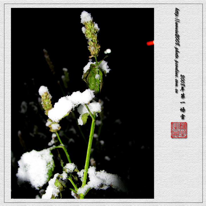 2008ǵһѩ