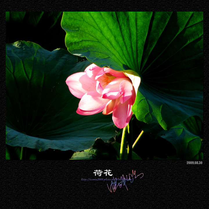 պɻͼ2