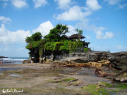 Bali,Resort