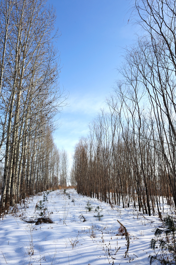 村里照片冬天图片