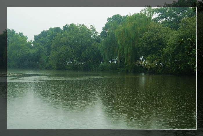 雨中即景图片配诗图片