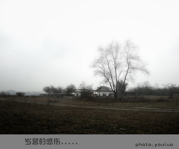 【岁暮的感伤摄影图片】柳州风光摄影_幽萝的