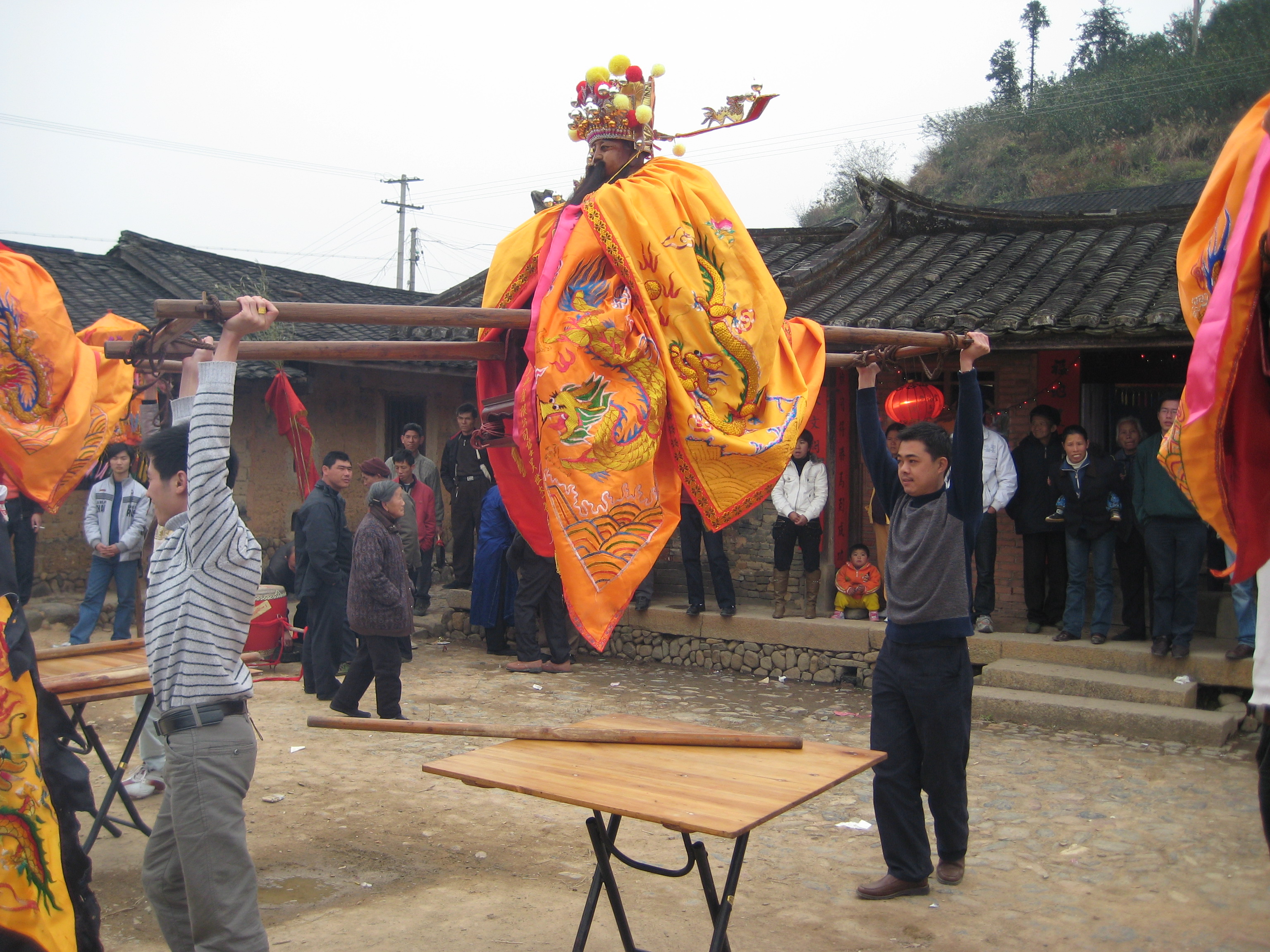 福建平和九峰恶霸照片图片