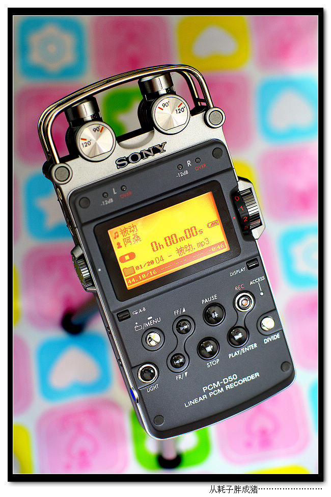 SONY-PCM D50ġ