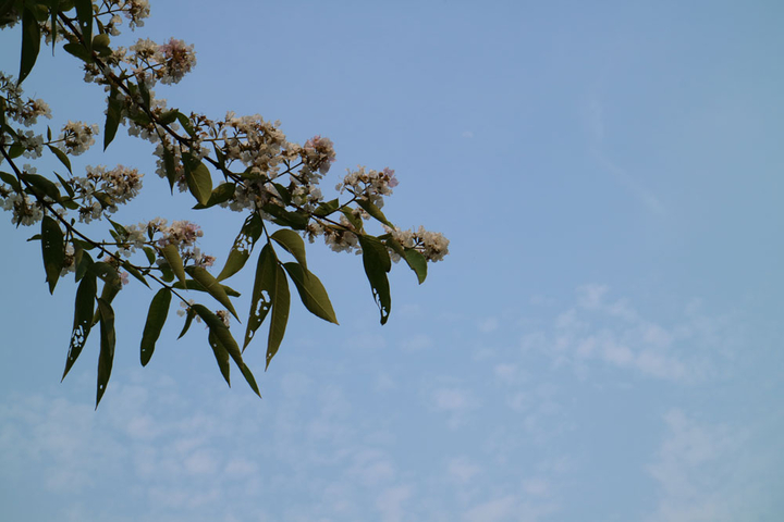 EOS M3