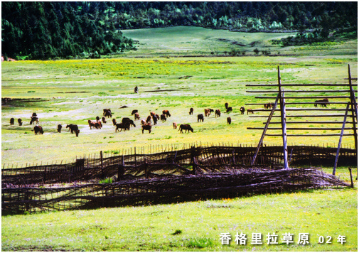֮ 2