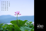 0806պˮ磨1