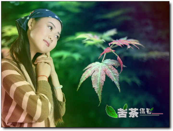 Ц崺