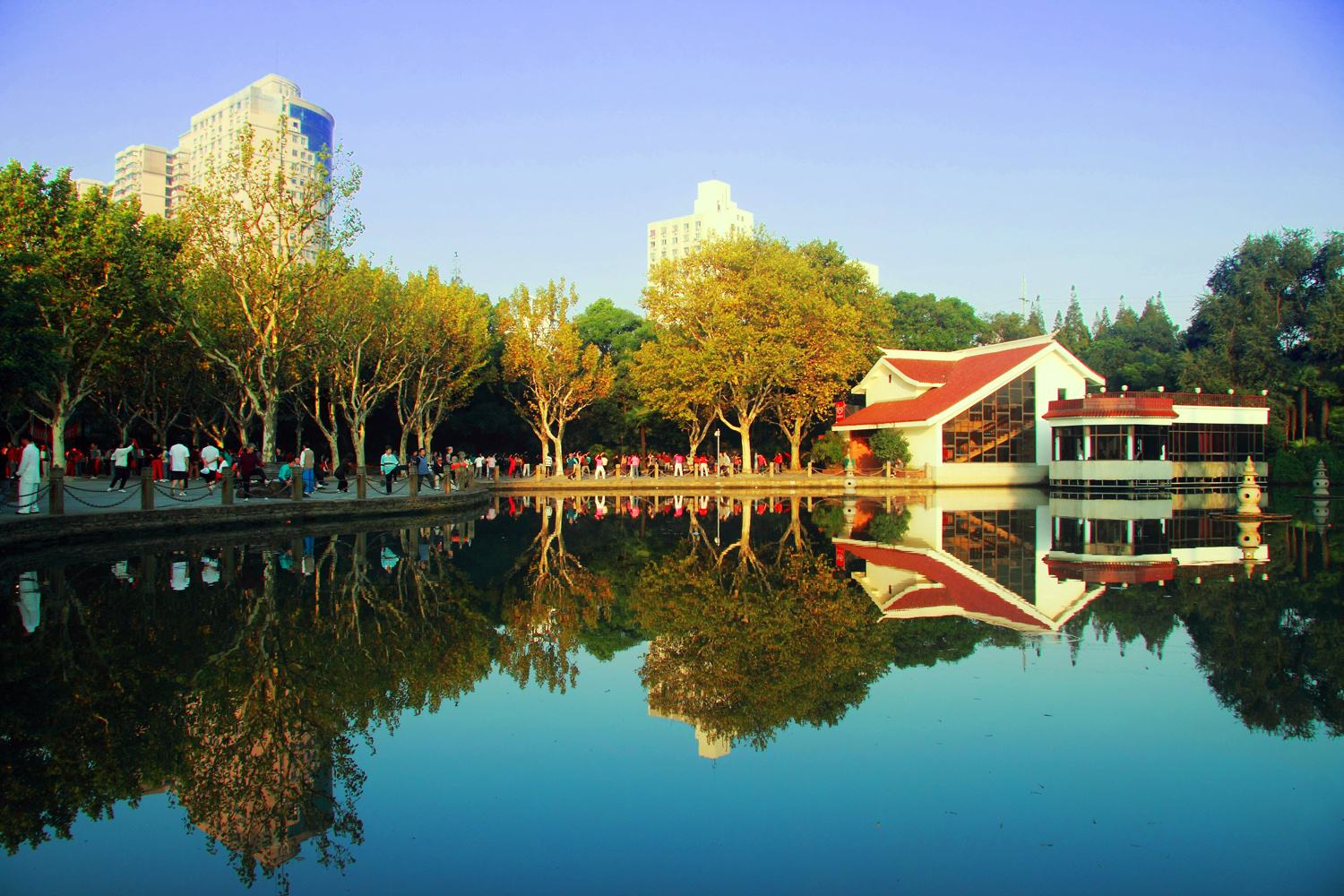 杨浦公园的早晨