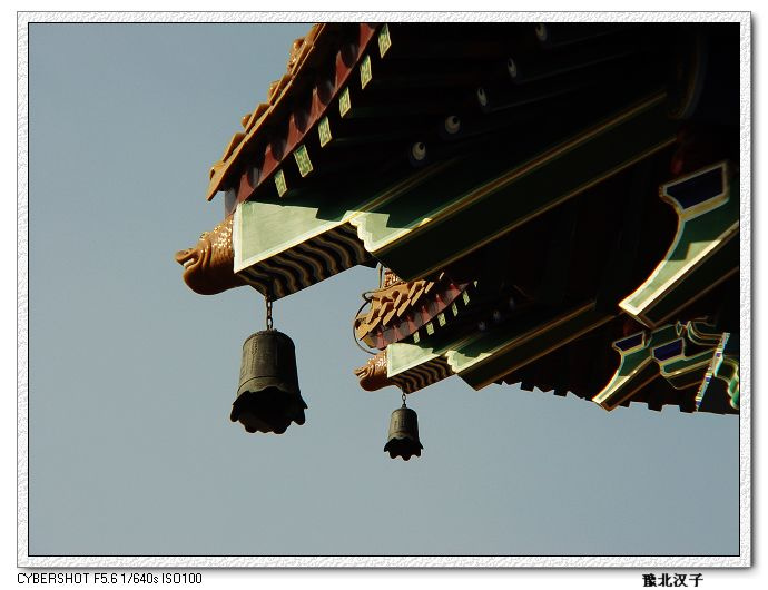 麣̨