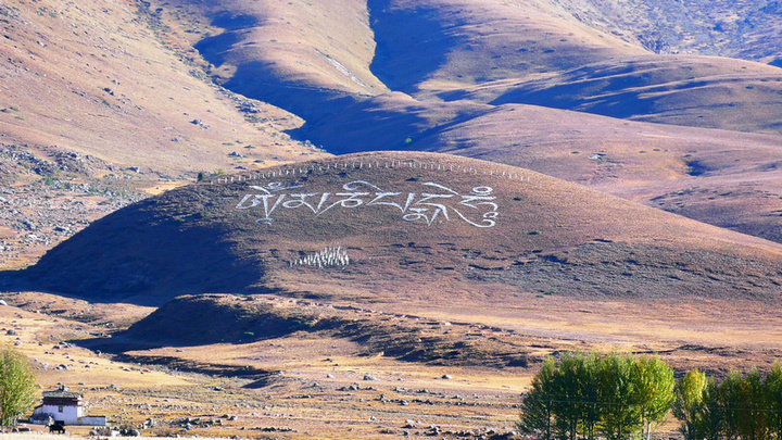 ﵽ¶