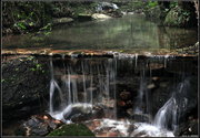 吊罗山-热带雨林中的清泉