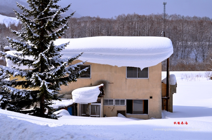 【雪國北海道(洞爺湖及沿途雪景)攝影圖片】日本紀實攝影_太平洋電腦