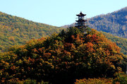 ֮