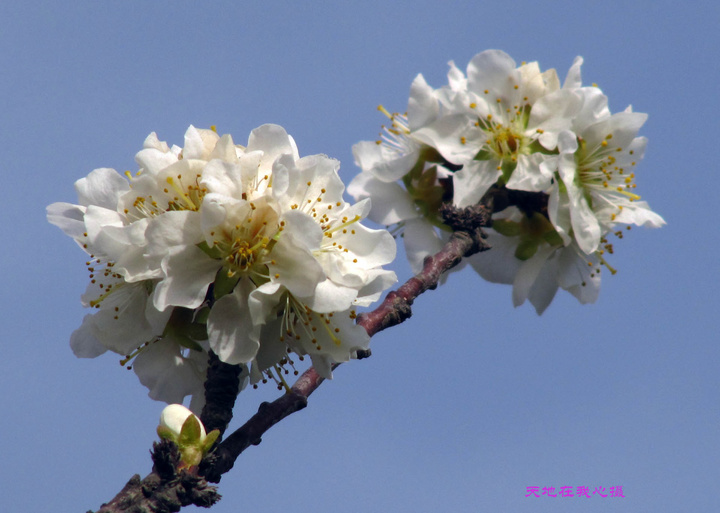 壩Ȼ֦ͷǧһ