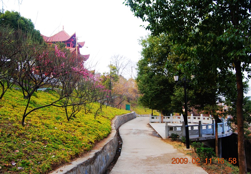 广水印台山公园图片