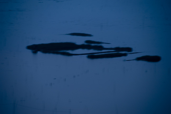 ϼʰ1-