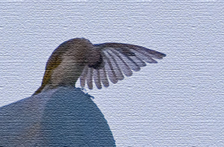 Ұ