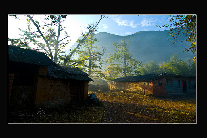 Ӱ֮ӷͣȾɽ