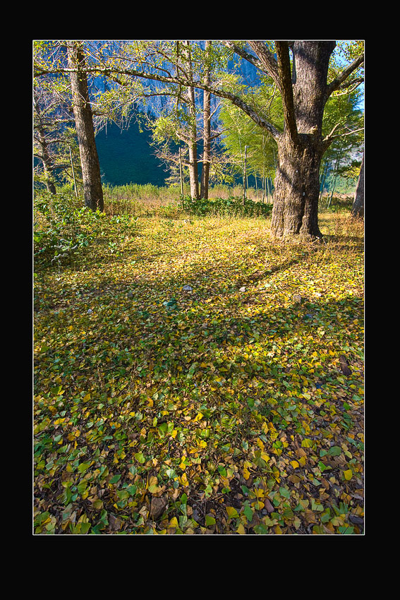 Ӱ֮ӷͣȾɽ