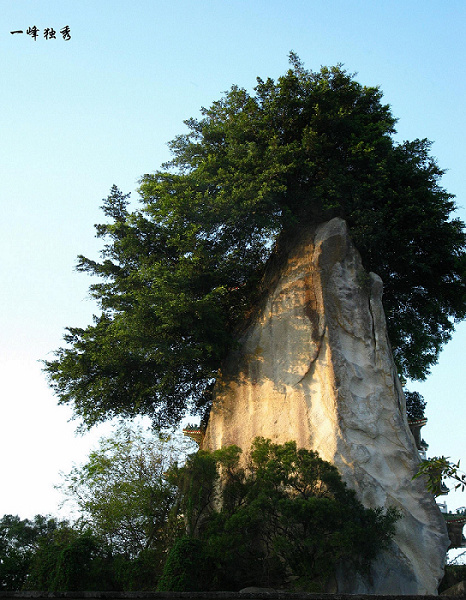 ֮