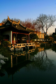 南京总统府:东花园