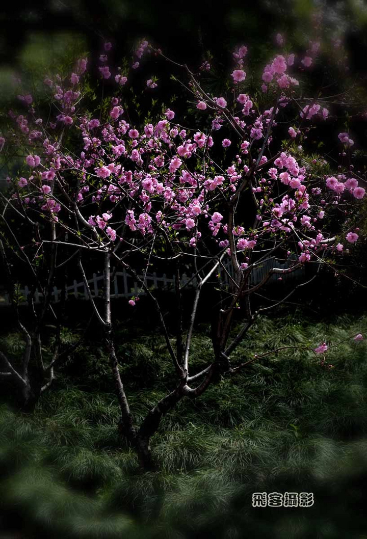 һ