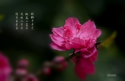 һ
