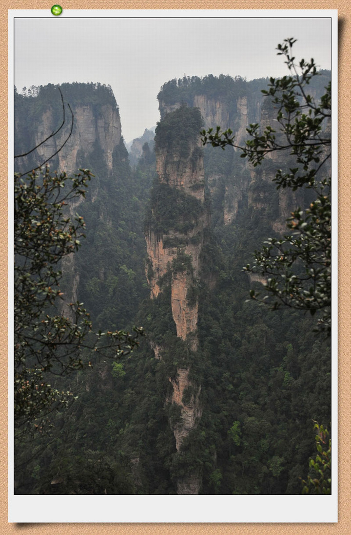 żҽ羰2