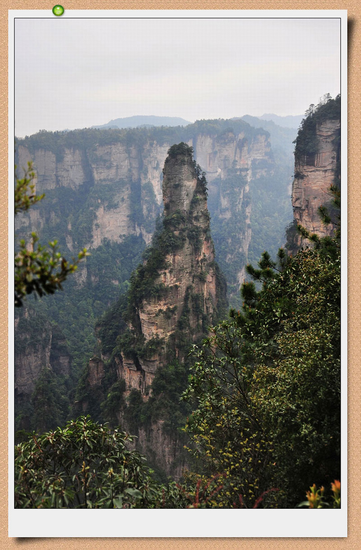 żҽ羰2