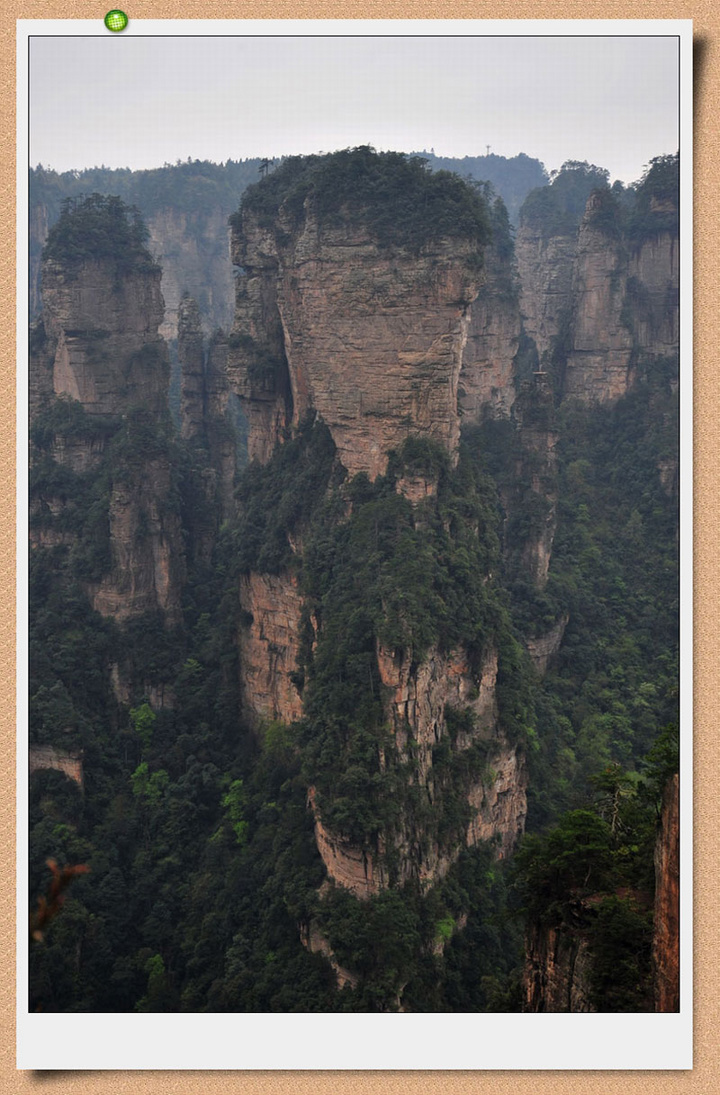 żҽ羰2