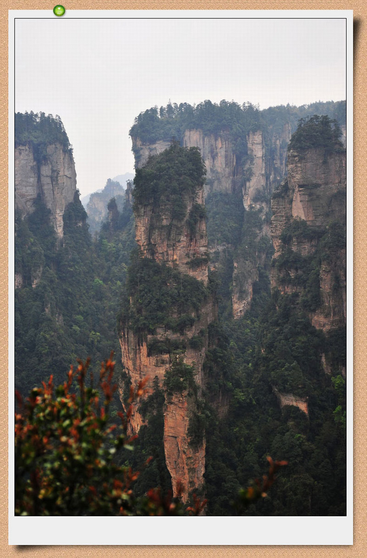 żҽ羰2