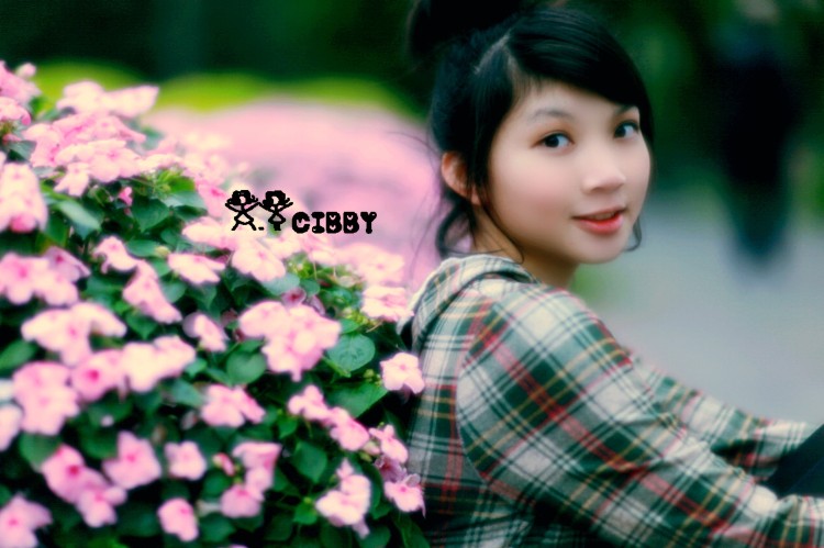 cibby