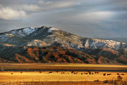 Little Creek Peak   СϪ