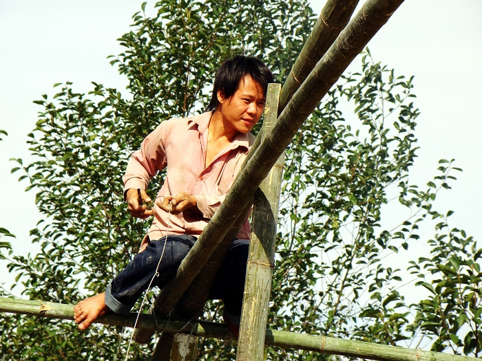 ʦ