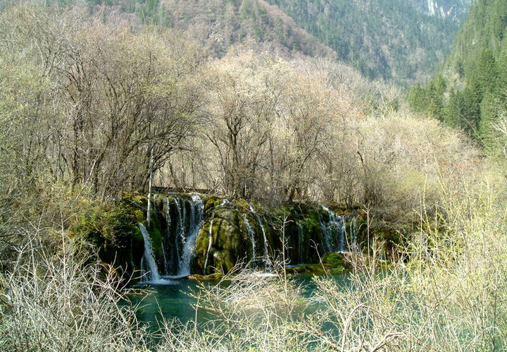 կ