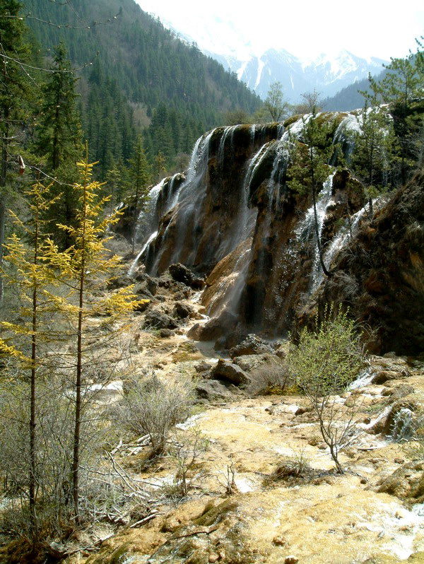 կ