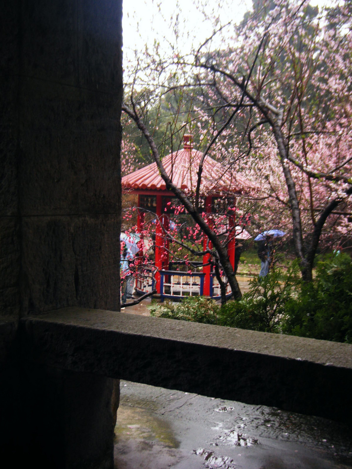 ֮