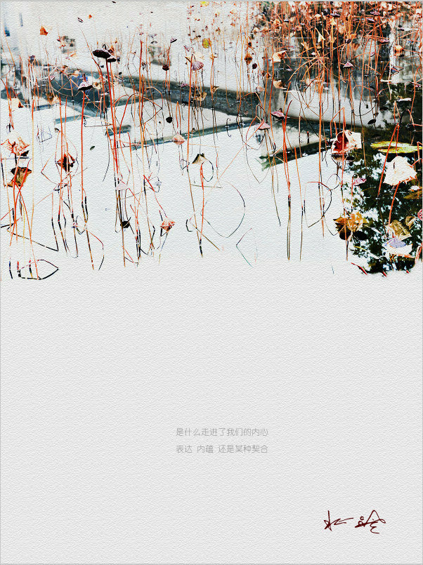 塿Ϻ