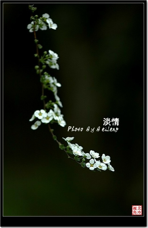ƵĴ̸̸飭