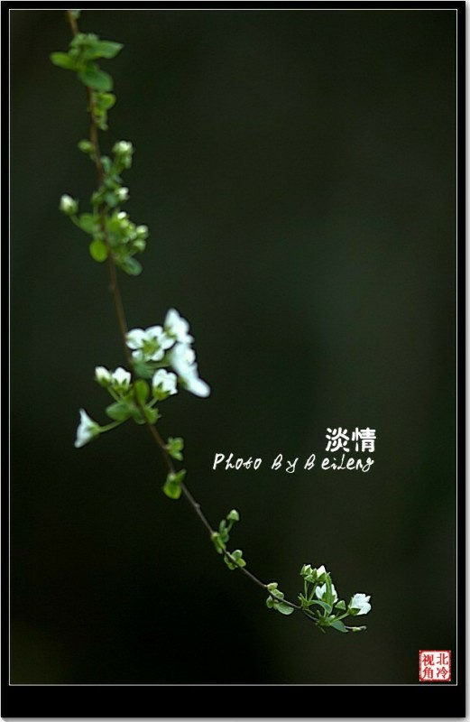 ƵĴ̸̸飭