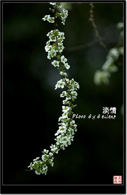 ƵĴ̸̸飭