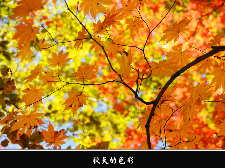 ɫ