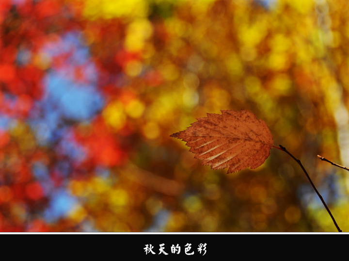 ɫ