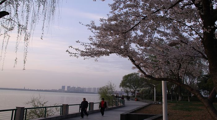 【宜興氿濱風景勝西湖攝影圖片】宜興氿濱公園風光攝影_老史旅遊攝影